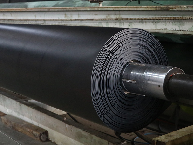 Geomembrane production line