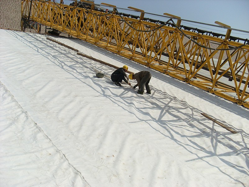 South-to-North Water Diversion Channel Anti-seepage Project