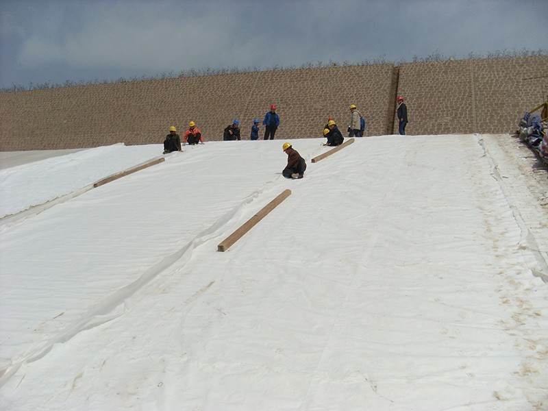 South-to-North Water Diversion Channel Anti-seepage Project