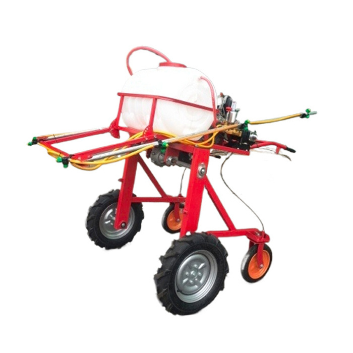 Hand-held self-service pesticide sprayer 3WPZ-100SQ