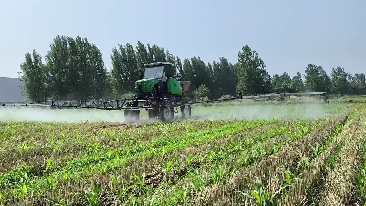 3WPZ-800(1).mp4