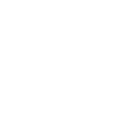 playBtn