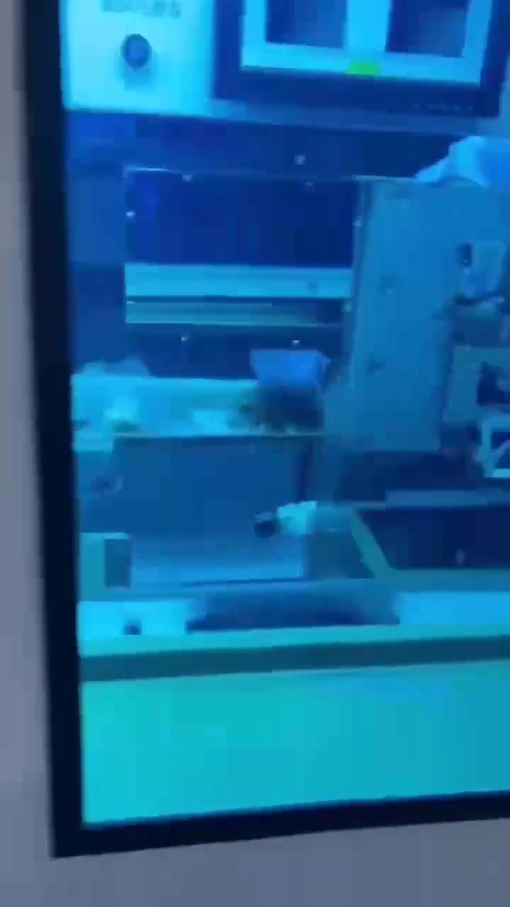1. TFT.mp4 1. TFT.mp4