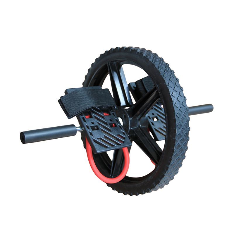 Exercise Wheel