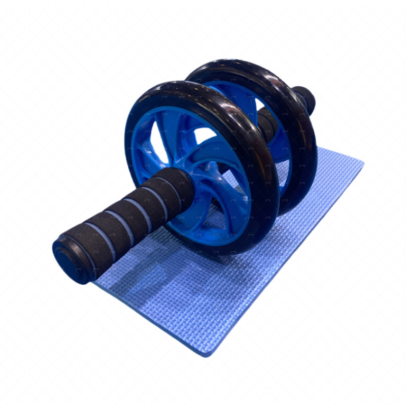 Exercise Wheel