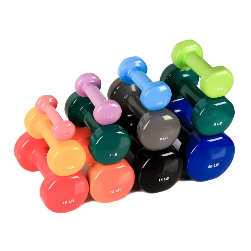 Vinyl Dipping Dumbbells