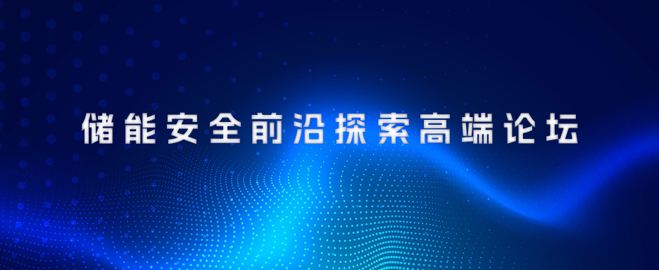 2025国际新能源安全技术峰会暨全球华人安全科学协会理事会议