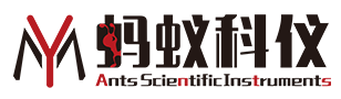蚂蚁