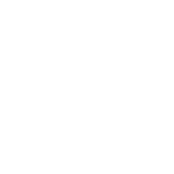 鼎诺团队