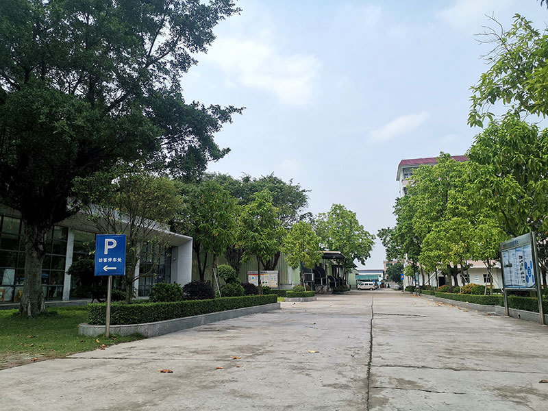 公司大道