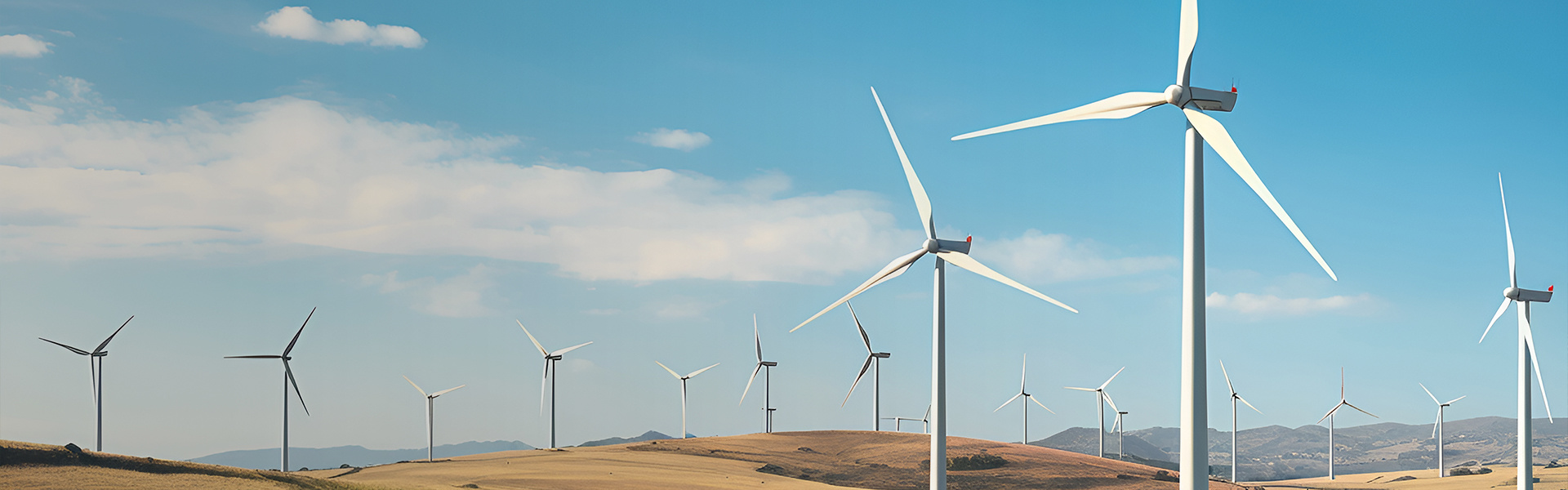 SUSTAINABLE DEVELOPMENT