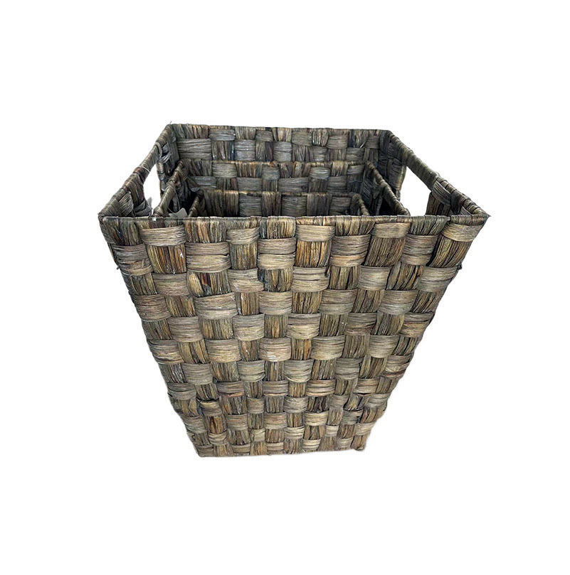 Seagrass ZER2404007
