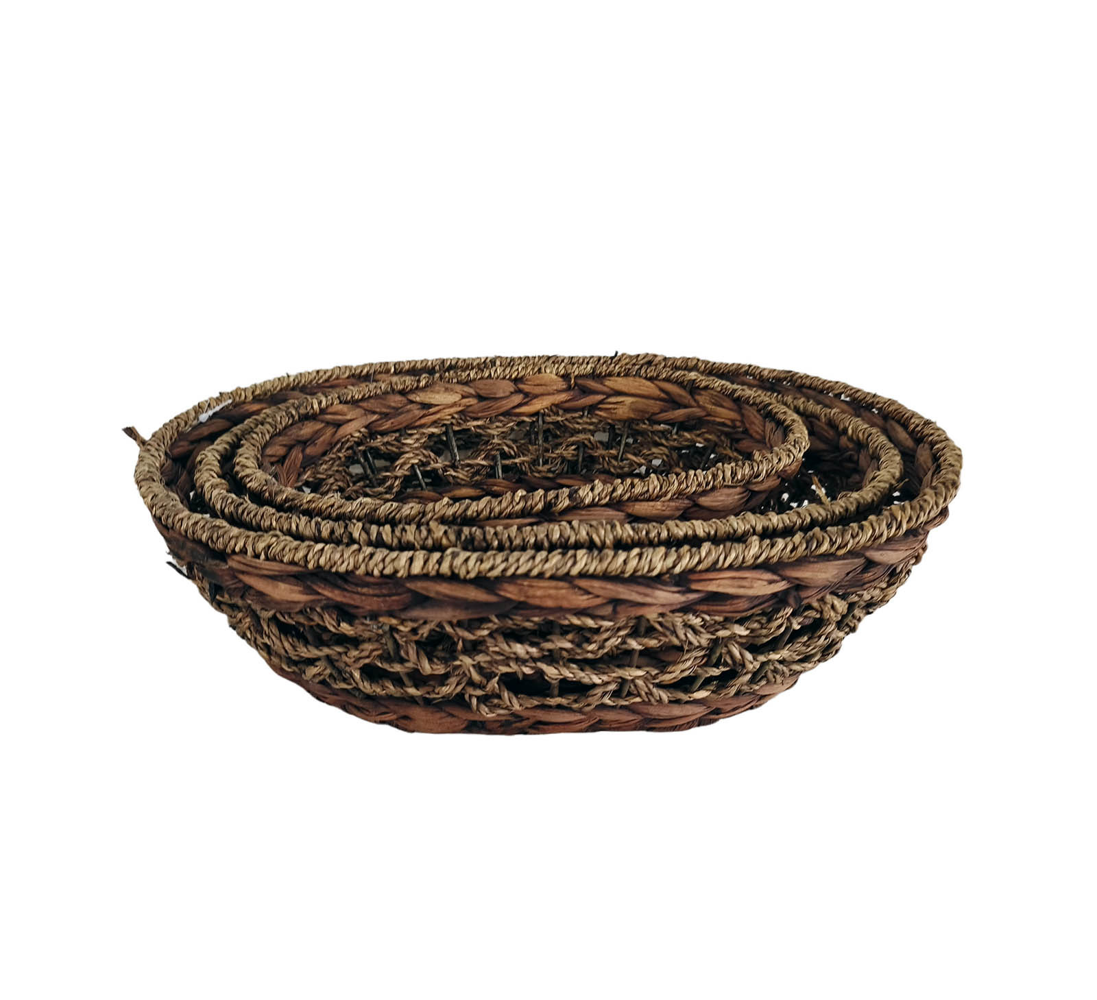 Seagrass BHB0006