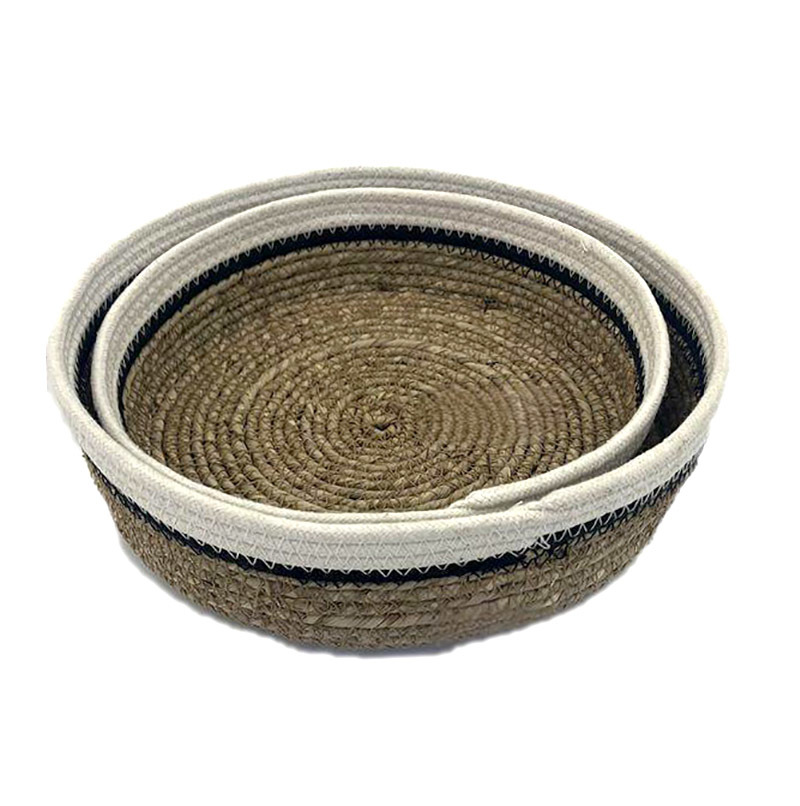 Seagrass BH6985