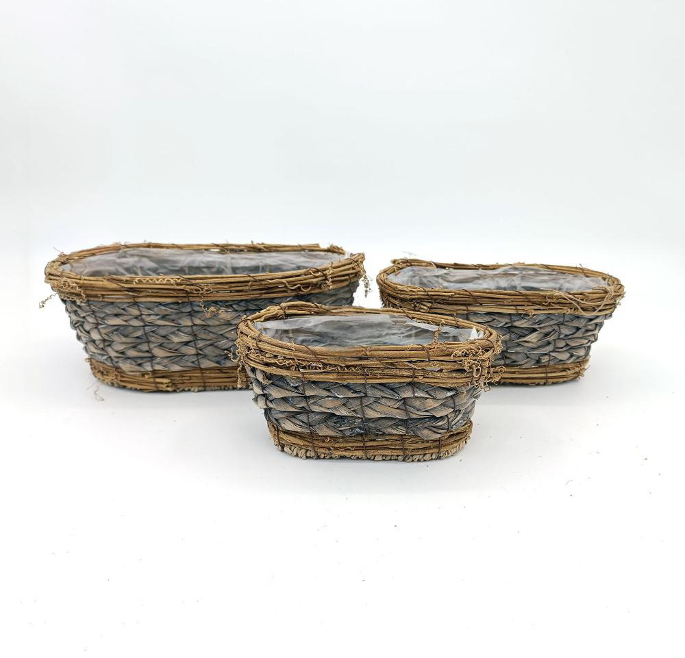 Seagrass ZER2410050