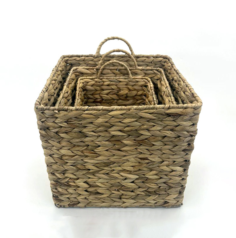 Seagrass BH7001