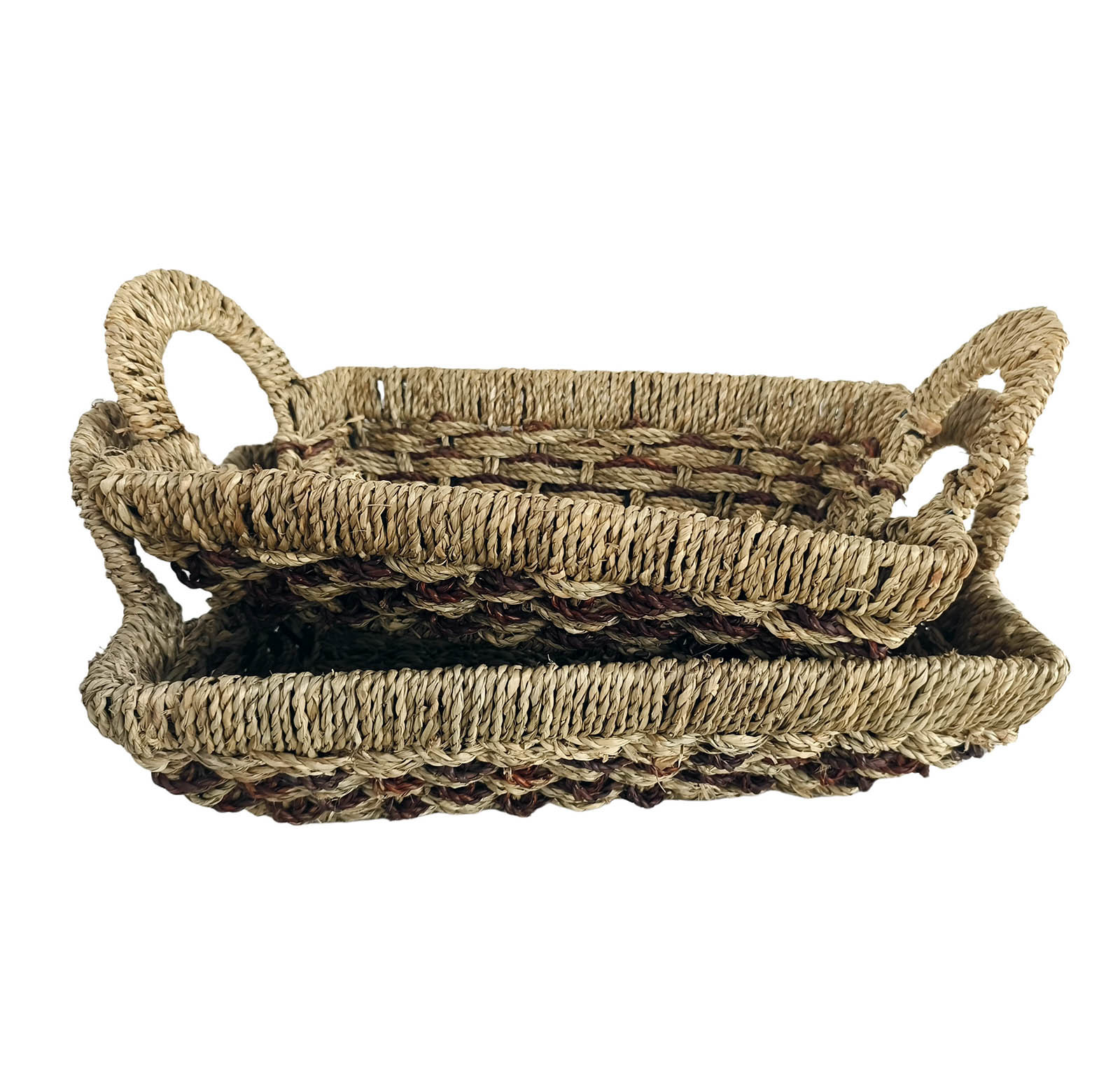 Seagrass BHB0007
