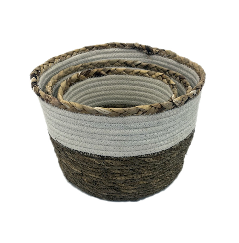 Seagrass BH6981