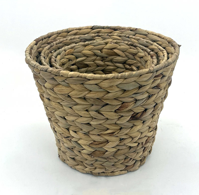 Seagrass BH7013