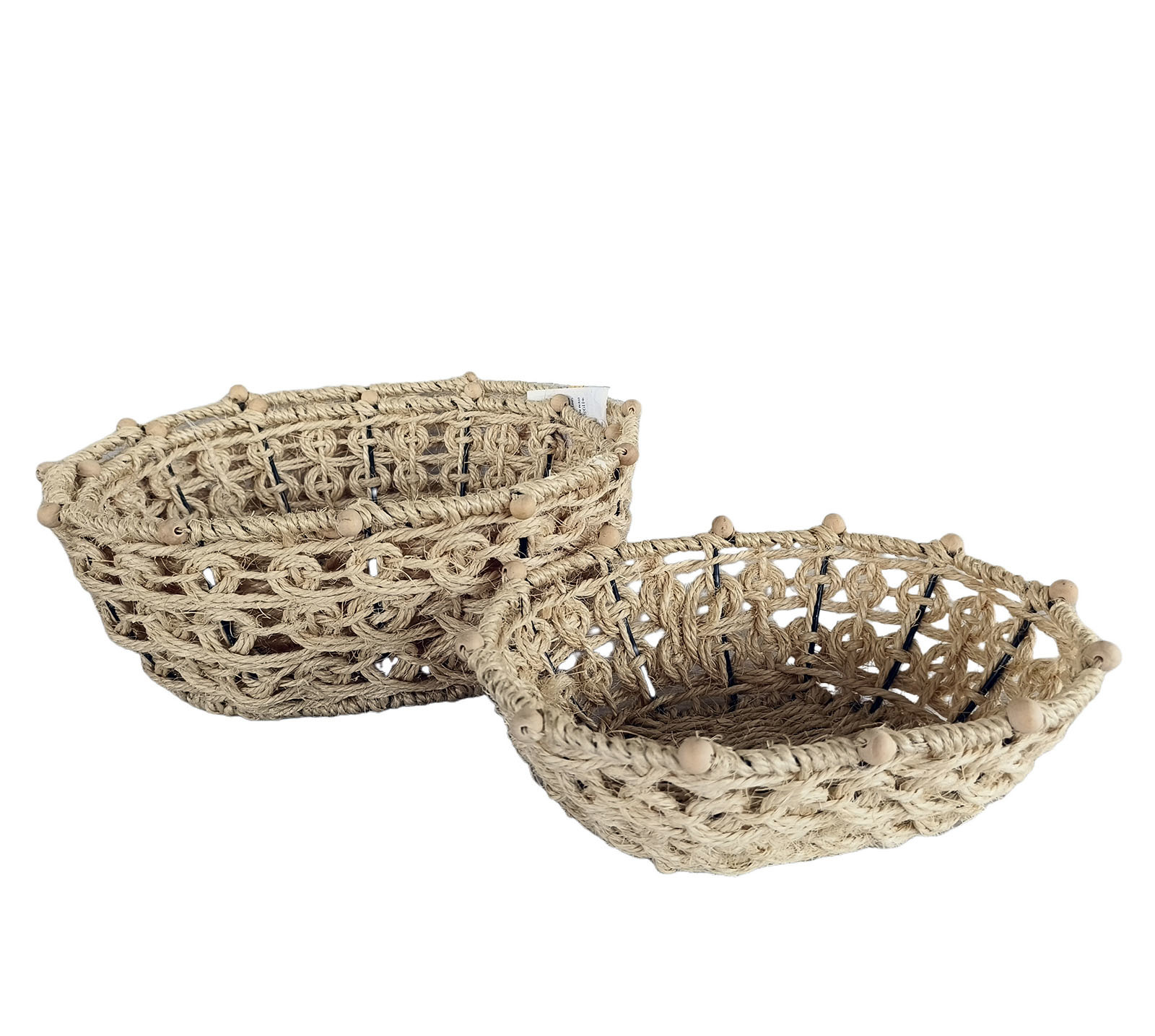 Seagrass BHB0019