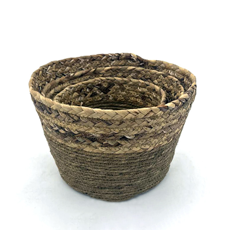 Seagrass BH7024
