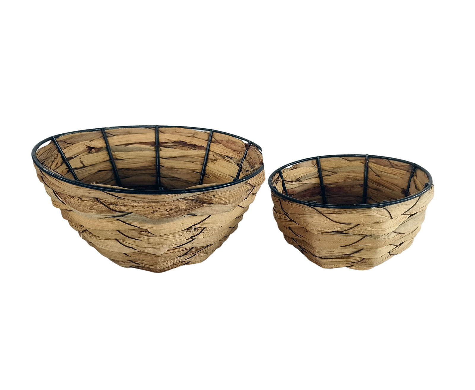 Seagrass BHB0002