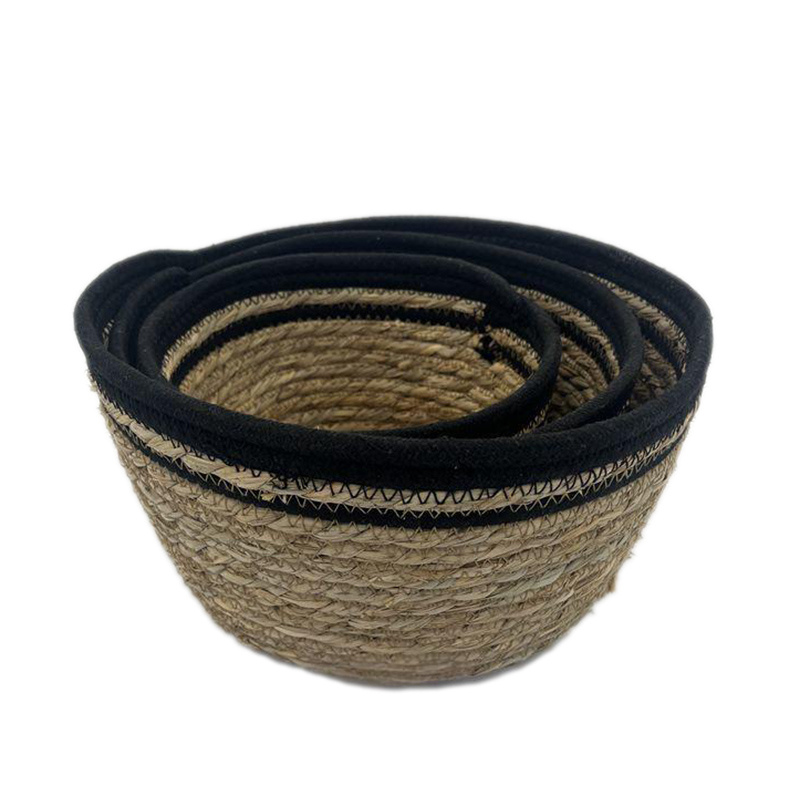 Seagrass BH6977