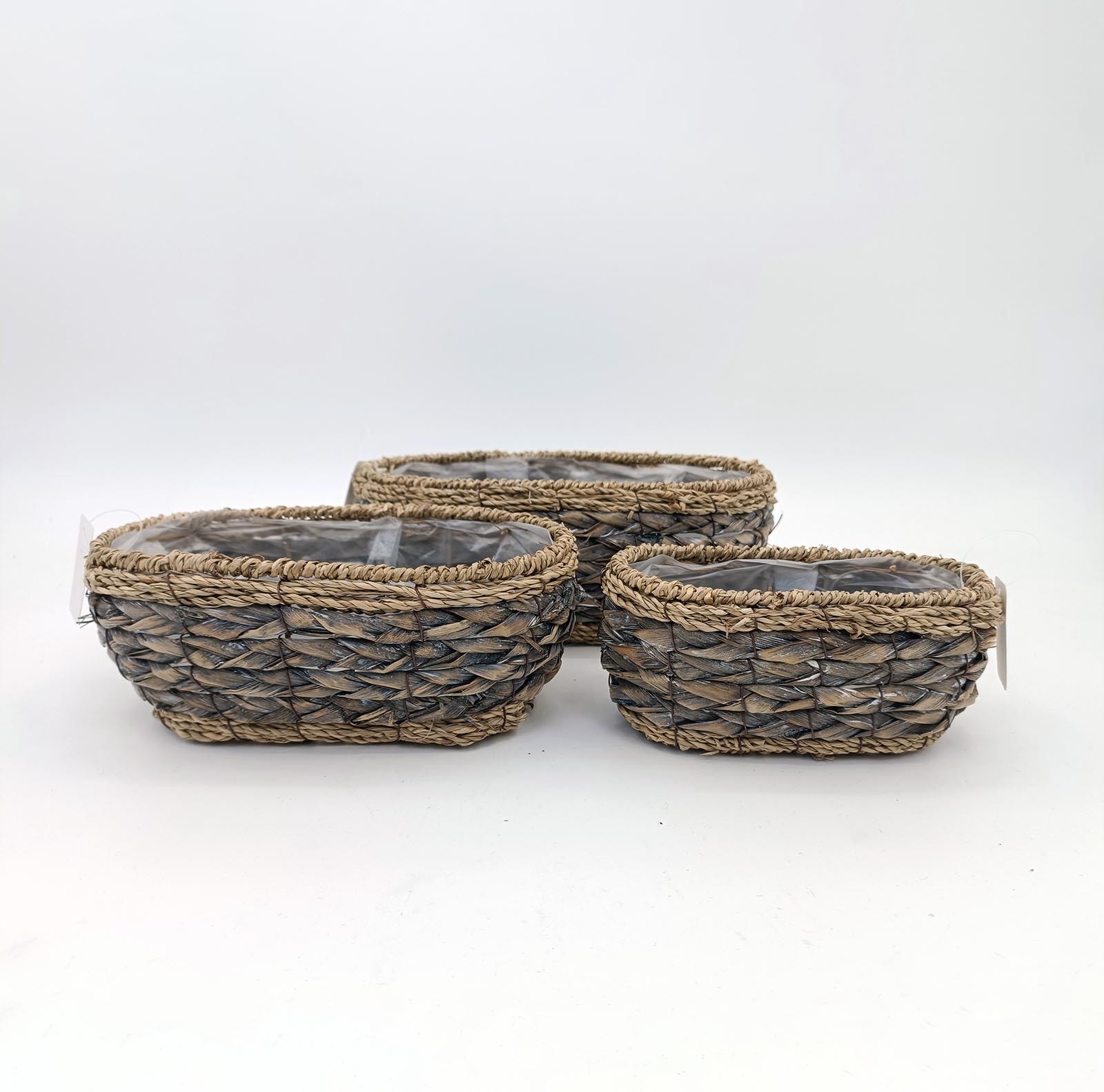 Seagrass ZER2410057