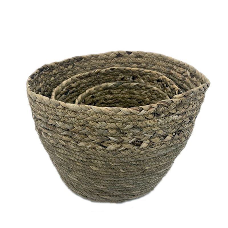 Seagrass BH6974