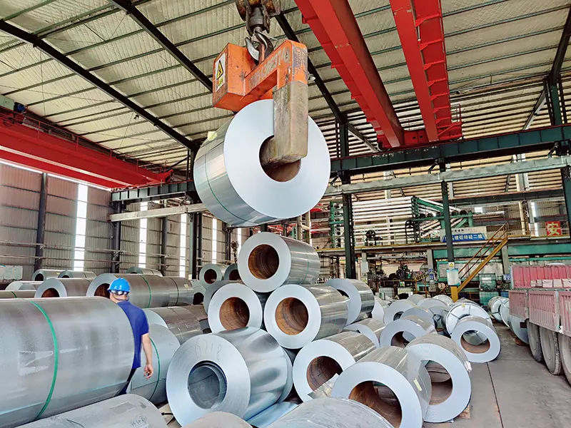 Warehousing & Shipping