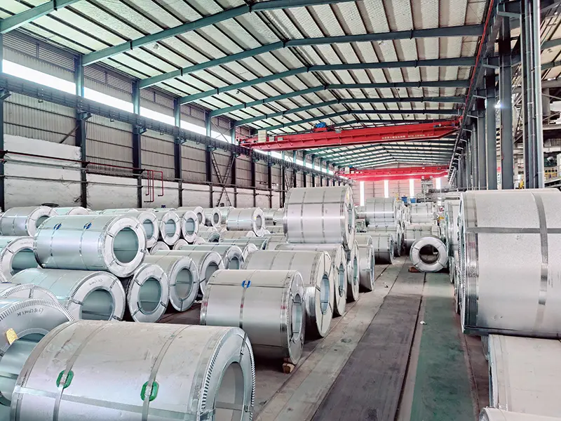 Warehousing & Shipping