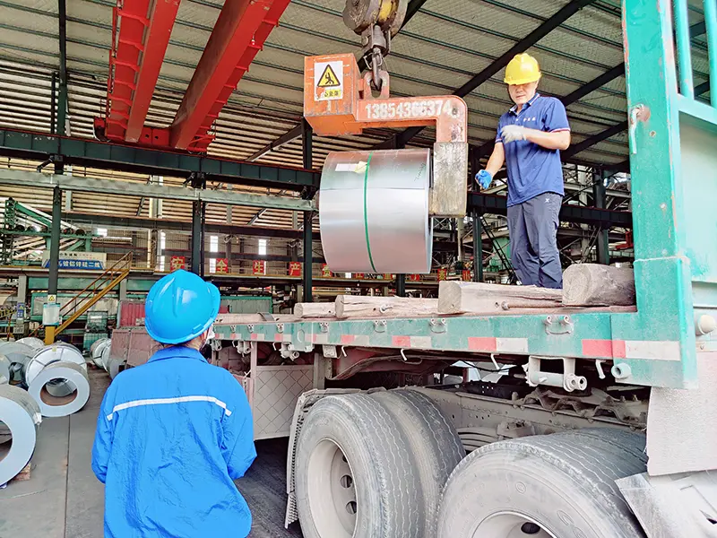 Warehousing & Shipping