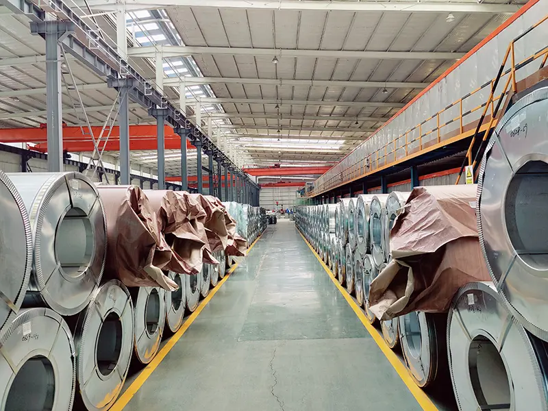 Warehousing & Shipping