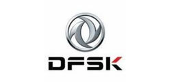 DFSK
