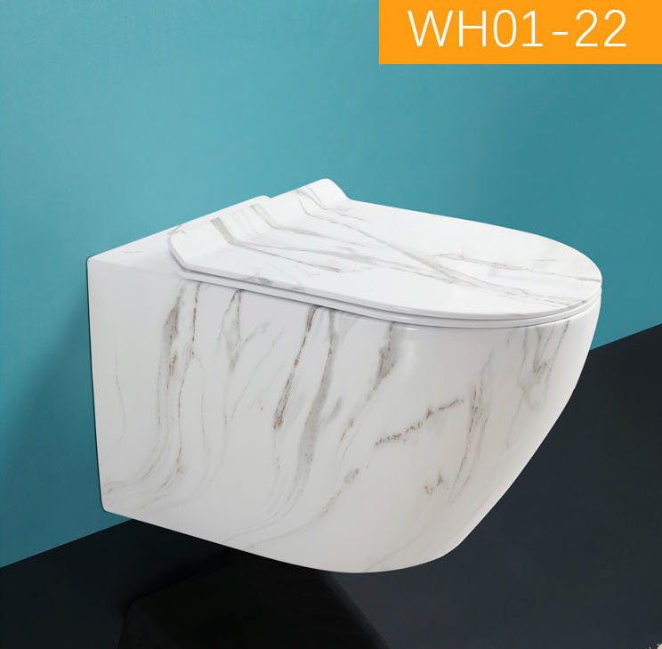 Wall Hung Toilet
