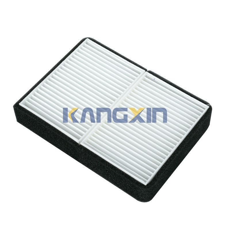FAAA9810103 Cabin filter or Mustangs