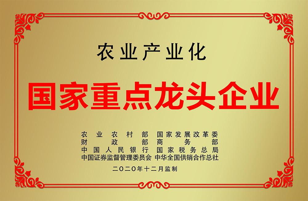 國(guó)家重點(diǎn)龍頭企業(yè)