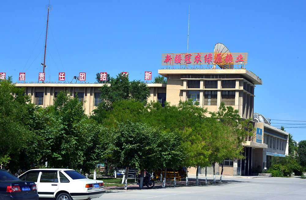 新疆棉花品種又添倆“新丁”