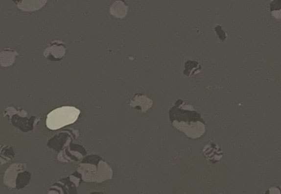 AST-D006