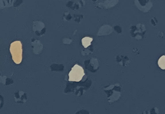 AST-D004
