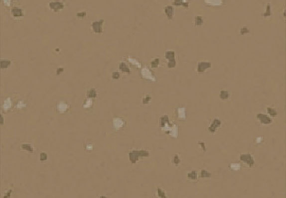 AST-Q009
