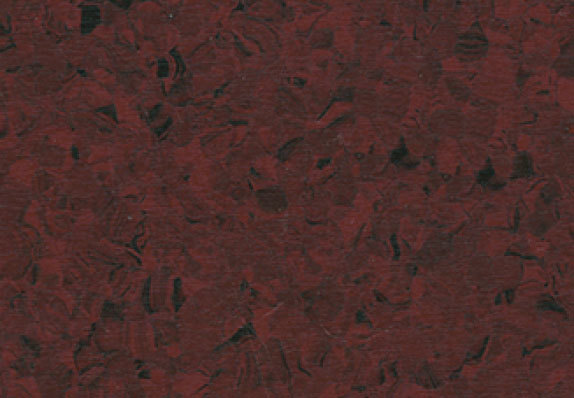 AST-P010