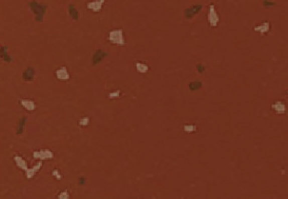 AST-Q013