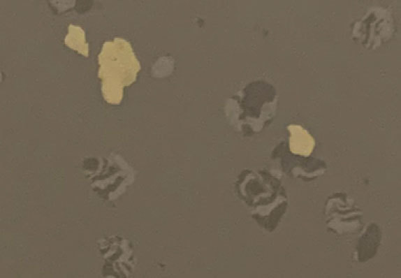AST-D015