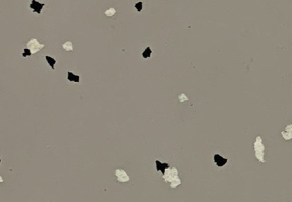 AST-S005