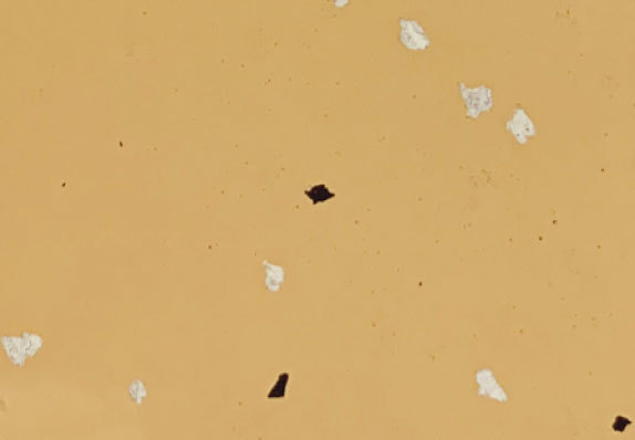 AST-S038