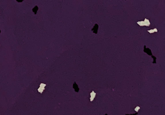 AST-S035