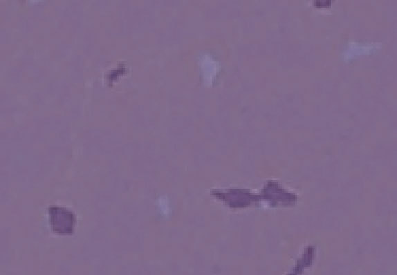 AST-Q012
