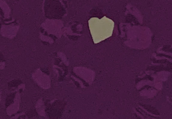 AST-D035
