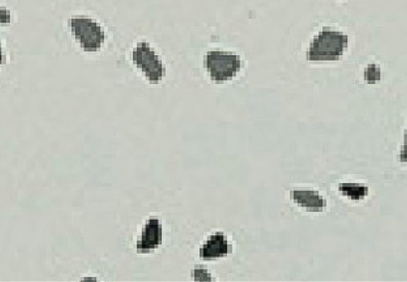 AST-Q002